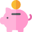 pig